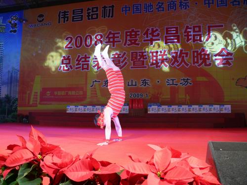 2008年度南宫NG28铝厂总结表扬暨联欢晚会-伟昌铝材