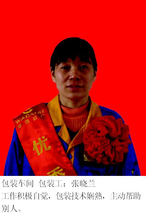 2008年度南宫NG28铝厂优异员工-伟昌铝材