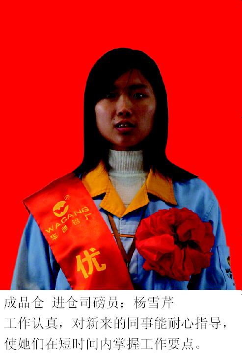 2008年度南宫NG28铝厂优异员工-伟昌铝材