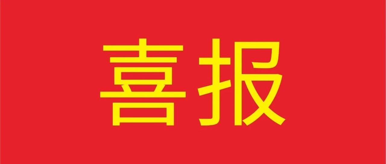 喜报 | 南宫NG28集团荣获《狮山经济生长突出孝顺企业》多项殊荣！