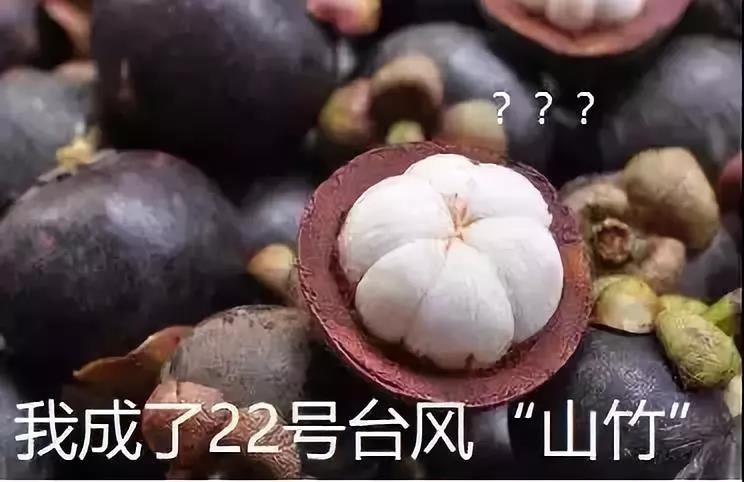 南宫·NG28(中国区)官方网站